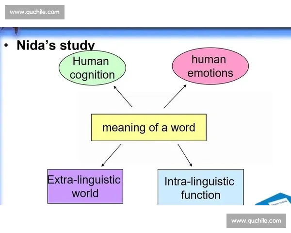 以比赛的英语单词为中心探索其语言含义和文化背景的深度解析
